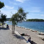 Nata *