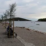 Nata *