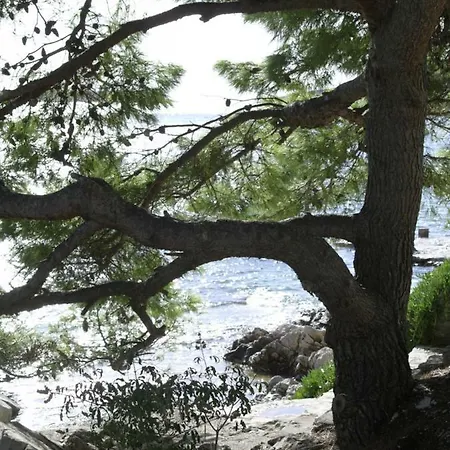 Apartment Apartmani Nata *